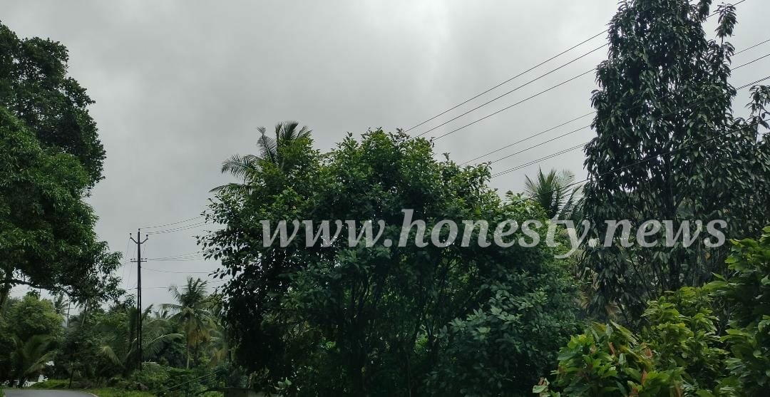 ഇടുക്കി ജില്ലാ ആസ്ഥാന മേഖലയിൽ വൈദ്യുതി മുടക്കം പതിവാകുന്നതിന് കാരണം ഉദ്യോഗസ്ഥരുടെ അനാസ്ഥ