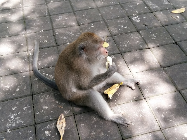 достопримечательности Убуда Monkey Forest ( Лес Обезьян).