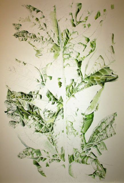 Artichoke Cardoon Leaf