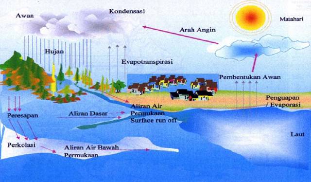 Cinta Lingkungan UJIAN NILAI DAN ETIKA LINGKUNGAN