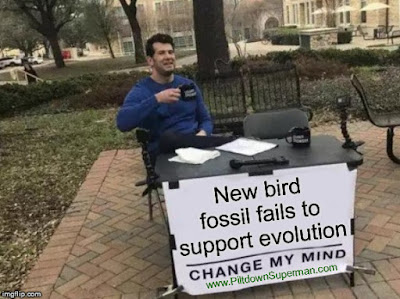 Despite their efforts, Archaeopteryx was not successful for evolutionists. A more recent fossil bird, F. prima, is damaging to evolutionary mythology.