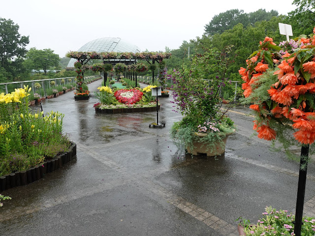 鳥取県西伯郡南部町鶴田　とっとり花回廊　エントランス展示