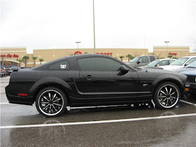 Black Mustang