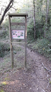 Prenafeta a Santes Creus GR-175 Ruta del Cister, Camí del bosc del Rector