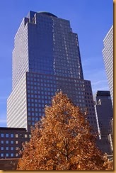 DSC01383