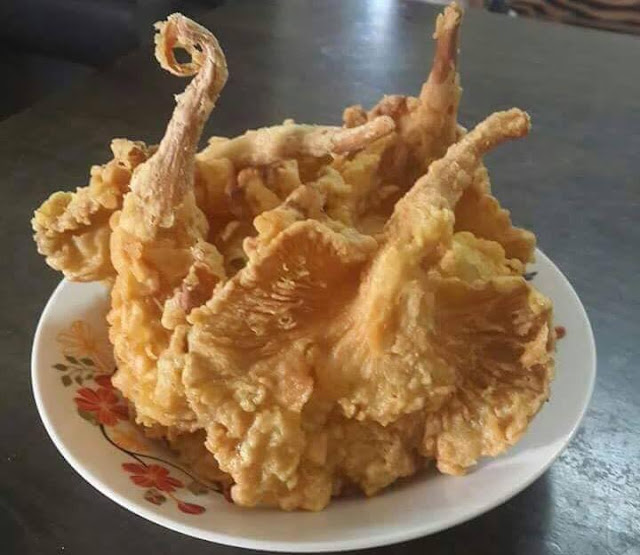 RESEPI MUDAH  CENDAWAN GORENG BEREMPAH RANGUP KRUP KRAP 