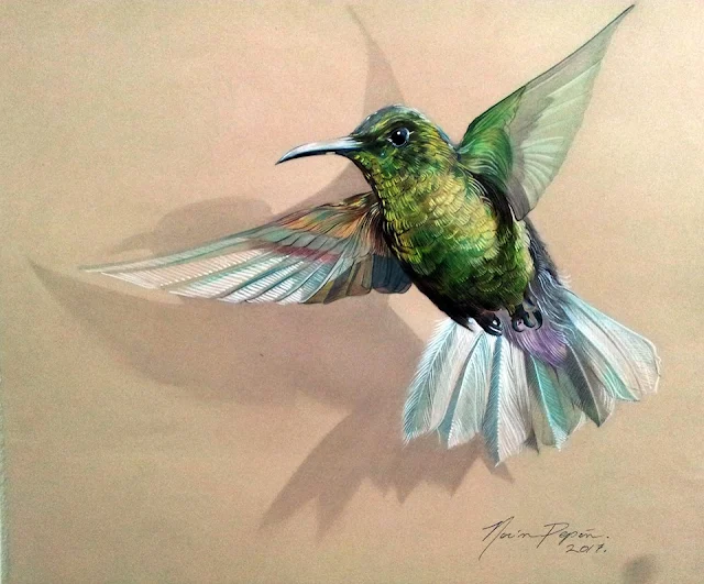 The Hummingbird, by Nervin Pepen