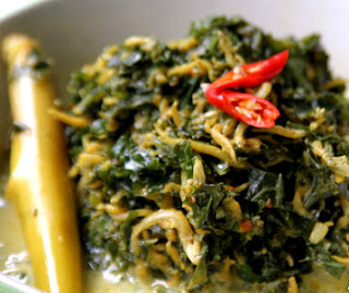 Resep Aneka Masakan Daun Singkong Paling Enak