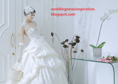 the best wedding dress 2013 picture 