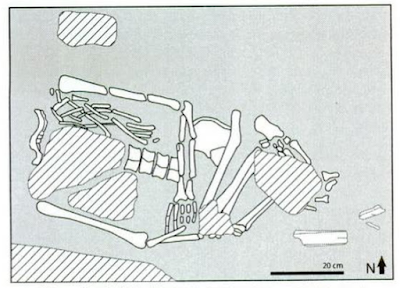 ancient human burial at braholo cave