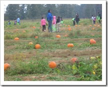 IMG_3467[1]
