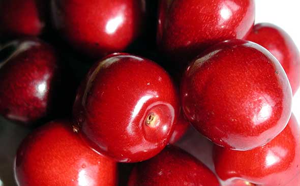 Cherry friut