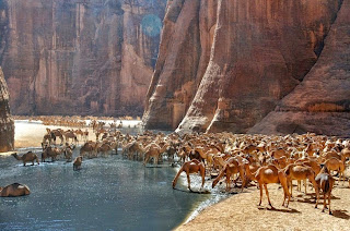 Guelta d' Archei, Oase Ajaib Di Gurun Sahara