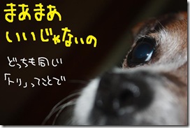 今日カズ１００６０３　２
