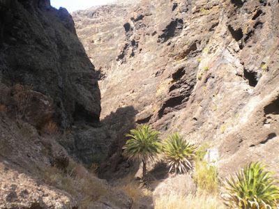 Barranco de Masca