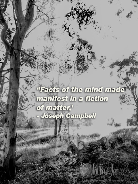 'Facts of the mind made manifest in a fiction of matter' - Joseph Campbell