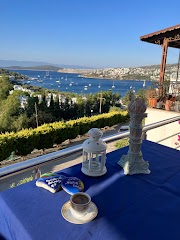 GÜNAYDIN