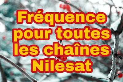 Tous les chaines de NileSat en 2022 par une seule fréquence