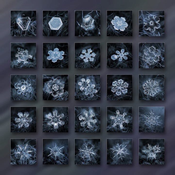 Stunning Macro Details of Uniquely Beautiful Snowflakes With An Inexpensive DIY Camera