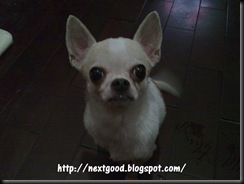 一路近況