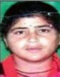 बागेश्वर में ततैयों के हमले से महिला की मौत ग्रामीण दहशत में