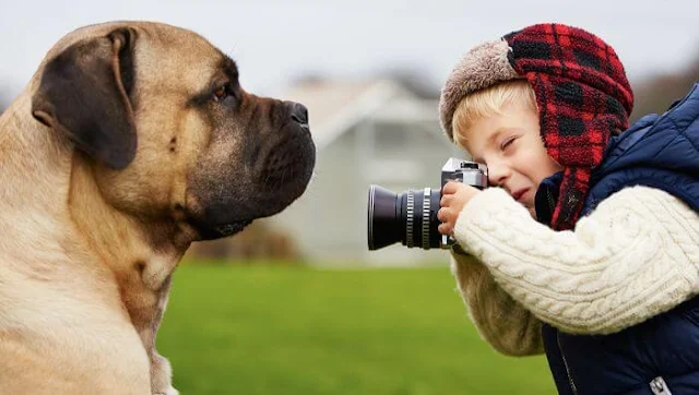 sacar una foto