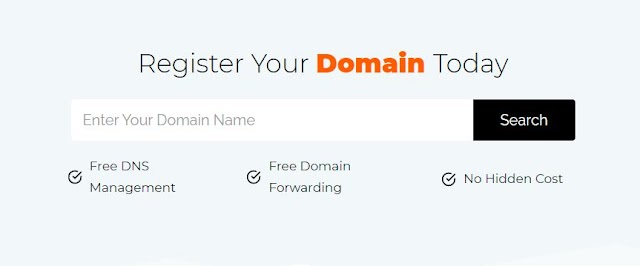 Factors to Consider When Selecting a Good Domain Name Provider In 2021