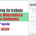 Cuaderno de trabajo de Lengua, Matemática, Medio Ambiente para 1º, 2º y 3º grado primaria