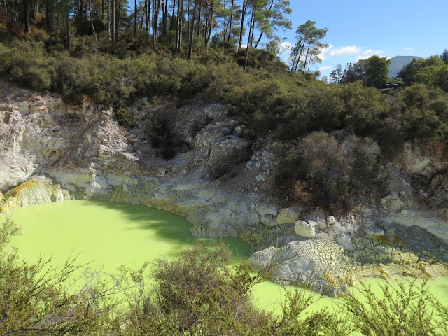 rotorua, new zealand, wai o tapu, hotspring