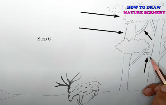 How to Draw Nature scenery for kids