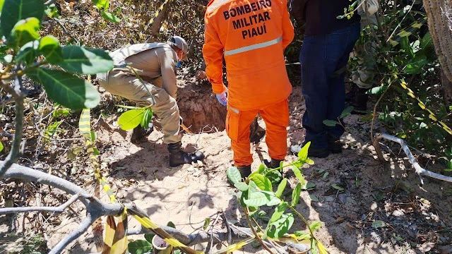 Policiais recebem denúncia e encontram corpo em cova rasa na zona rural de Ilha Grande