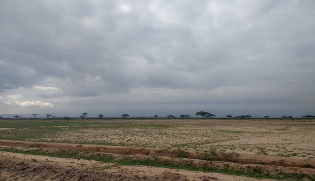 Amboseli, Kenya