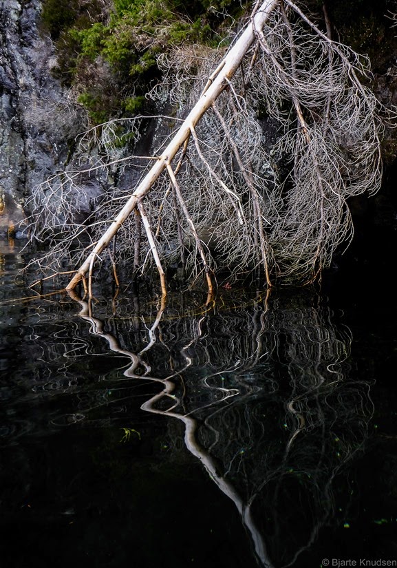 P1130591