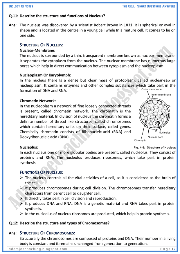 the-cell-short-question-answers-biology-11th