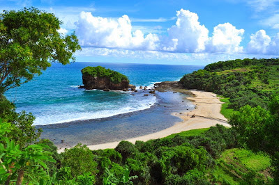 Menikmati Biota Laut Di Pantai Jungwok Gunung Kidul