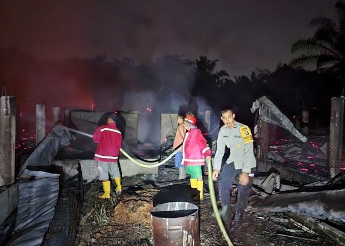 Peternakan di Simalungun Terbakar Hebat, Puluhan Ribu Ayam Hangus Terpanggang