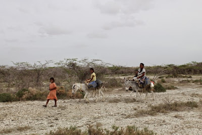 Résultat de recherche d'images pour "drame de la Guajira"