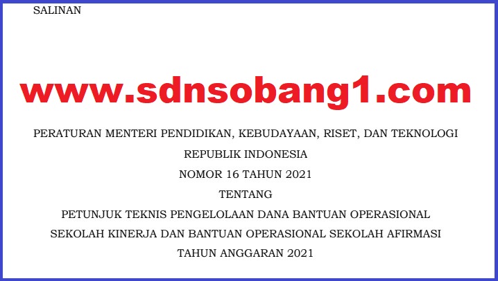 JUKNIS BOS KINERJA AFIRMASI TAHUN 2021 BERDASARKAN PERMENDIKBUDRISTEK