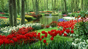 #9 Nice Flowers Garden Wallpapers