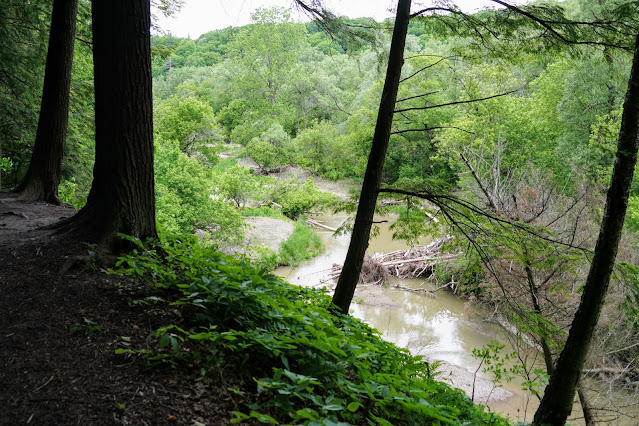 Little Rouge River on the Mast Trail Rouge Park