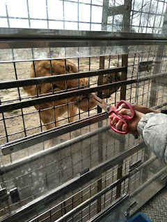 九州自然野生動物園