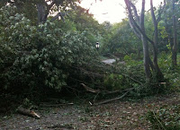 tornado damage in park