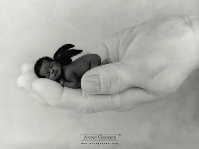 anne geddes wallpapers. 2010 Sleeping Baby - Anne Geddes wallpaper anne geddes. wallpaper anne