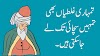 Maulana Rumi Quotes in Urdu