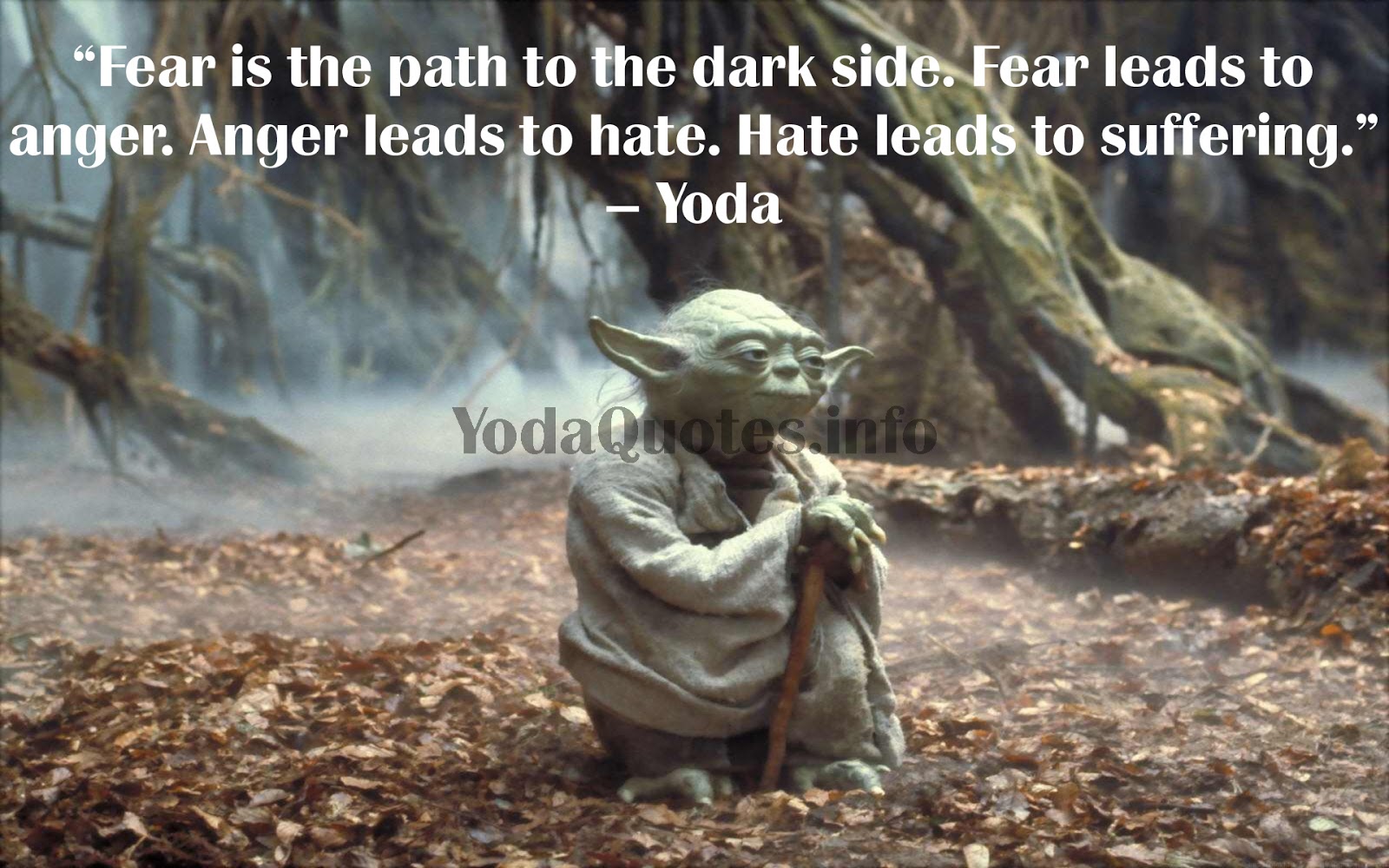 Yoda Quotes Wisdom