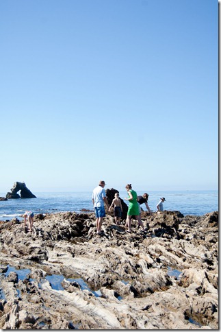 Tide Pool