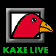 KAXE Live