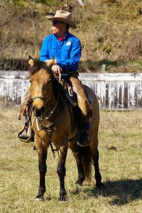 Canadian Horse Business Reviews: BRUCE KOCH PARELLI INSTRUCTOR