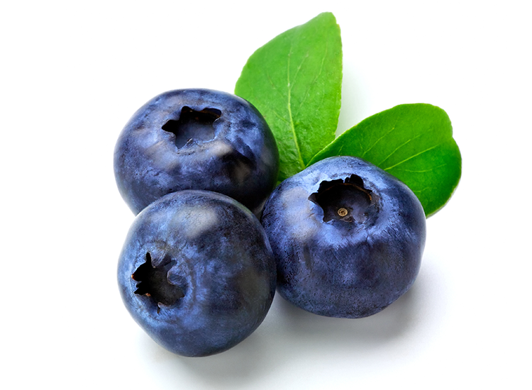 9 Manfaat Blueberry Bagi Kesehatan