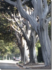 Day 1 Cali vacay - LA 055